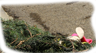 Jolls cast to curb on old Christmas tree Jolls on tree